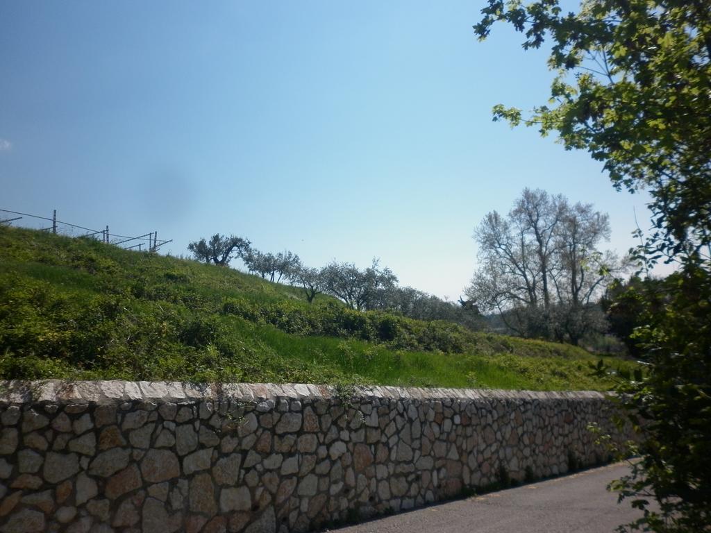 Apartament La Piccola Mimosa SantʼAmbrogio di Valpolicella Zewnętrze zdjęcie