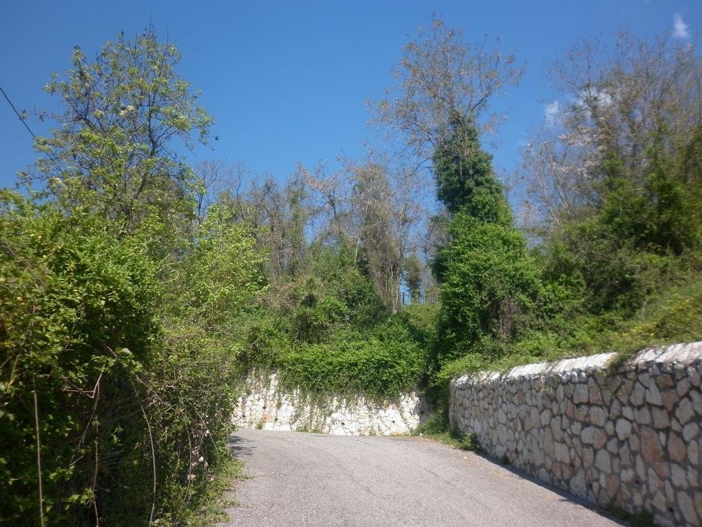 Apartament La Piccola Mimosa SantʼAmbrogio di Valpolicella Zewnętrze zdjęcie