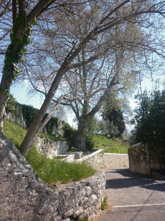 Apartament La Piccola Mimosa SantʼAmbrogio di Valpolicella Zewnętrze zdjęcie